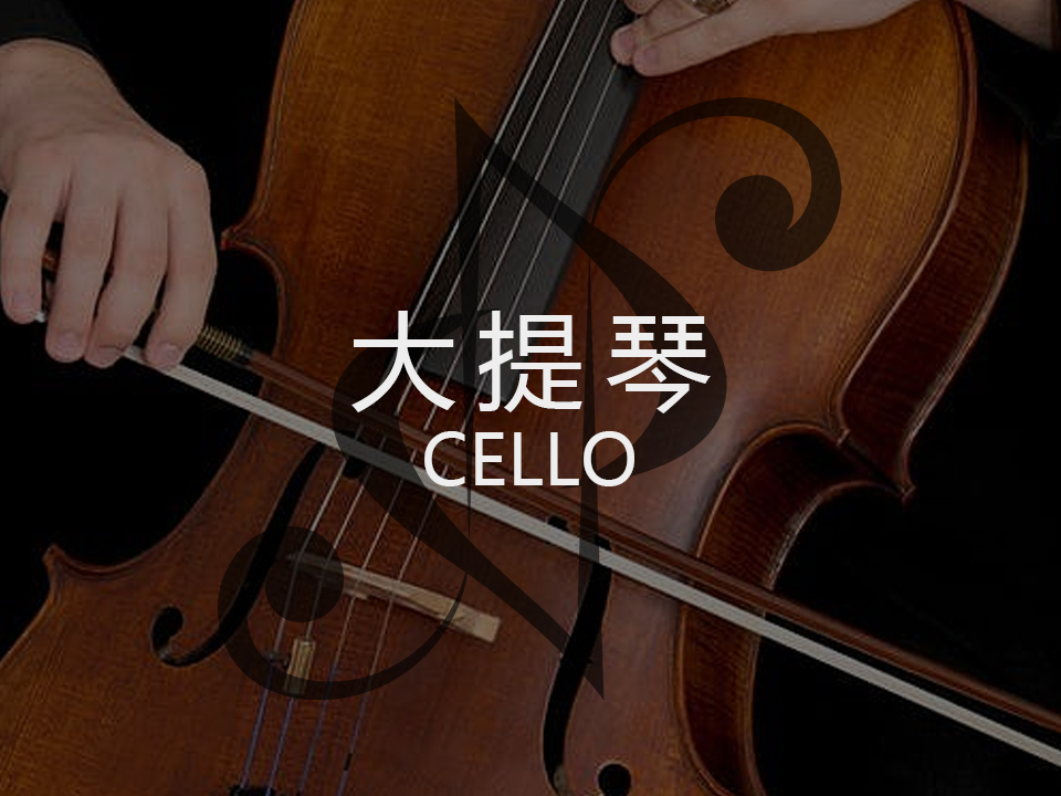 大提琴