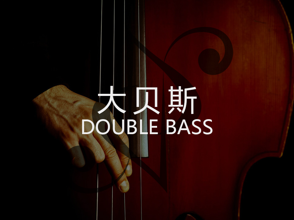 大贝斯